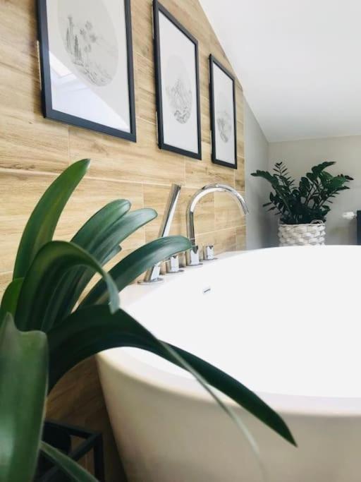 Qwadrat Apartament 15 In Bielsko-Biala City Center Eksteriør bilde